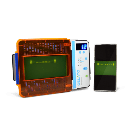 DNA Gel Electrophoresis