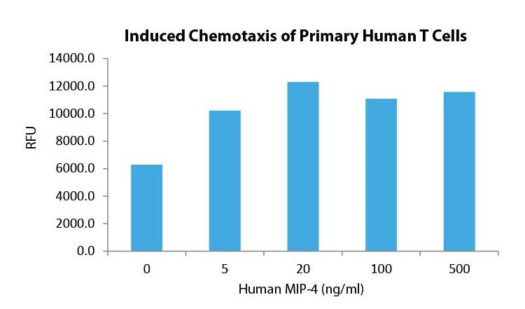MIP-4