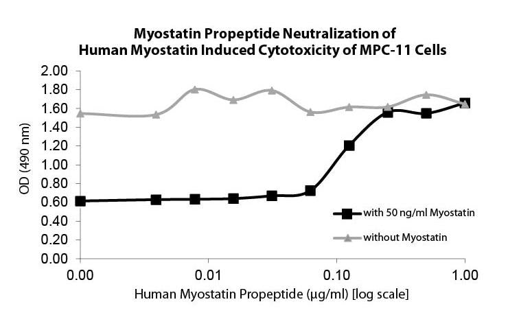 Myostatin Propeptide