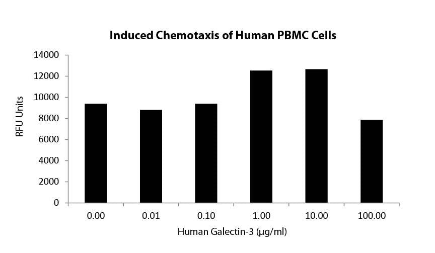 Galectin-3