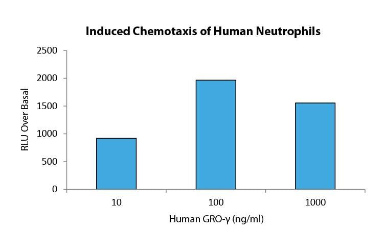 GRO-γ