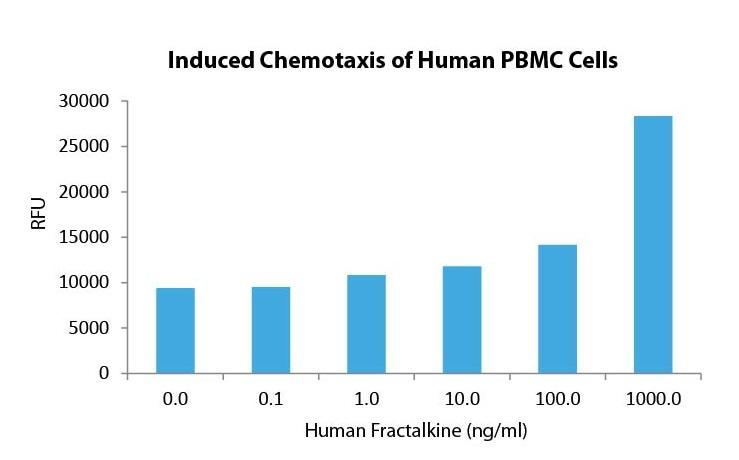 Fractalkine