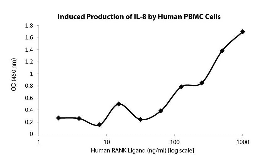 RANK Ligand