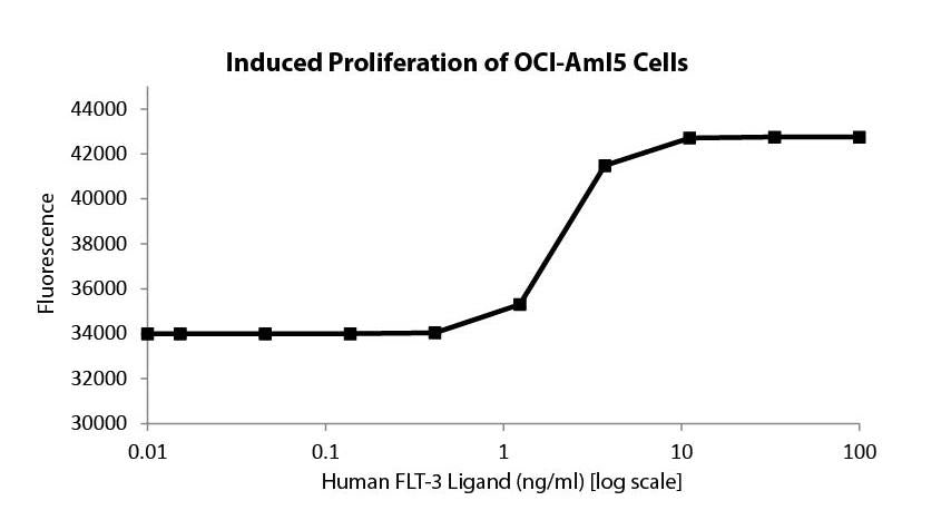 FLT-3 Ligand (AF)