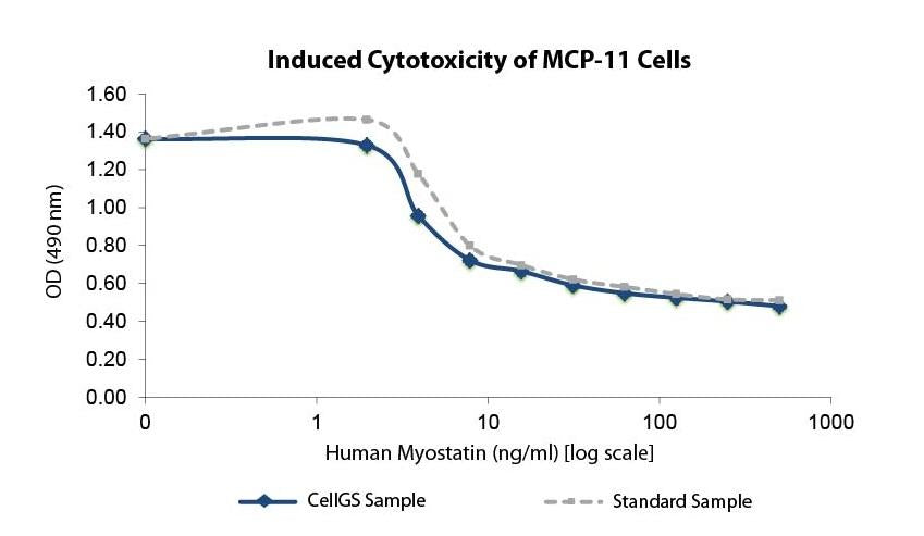 Myostatin