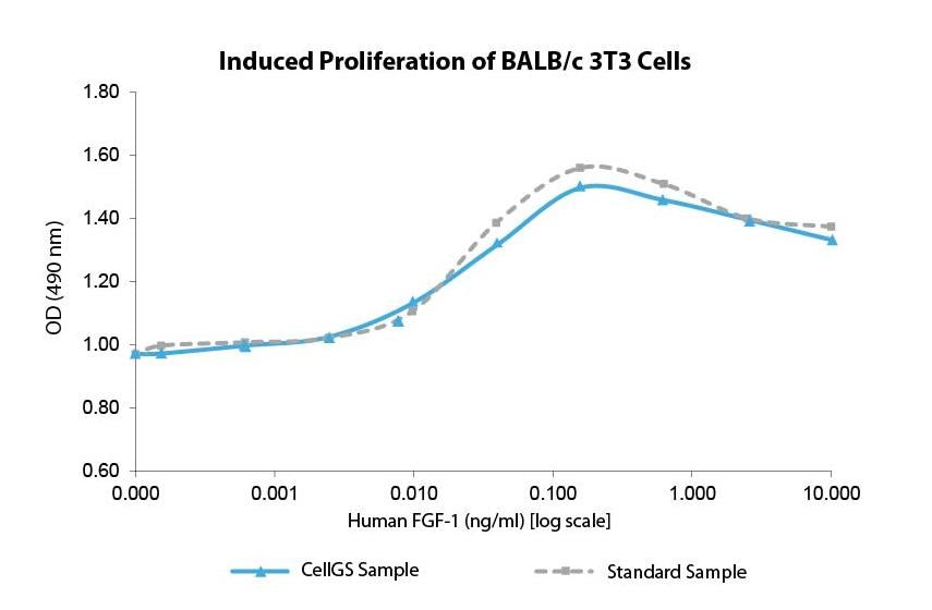FGF-1 (AF)