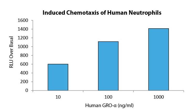 GRO-α