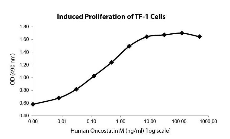 Oncostatin M (AF)