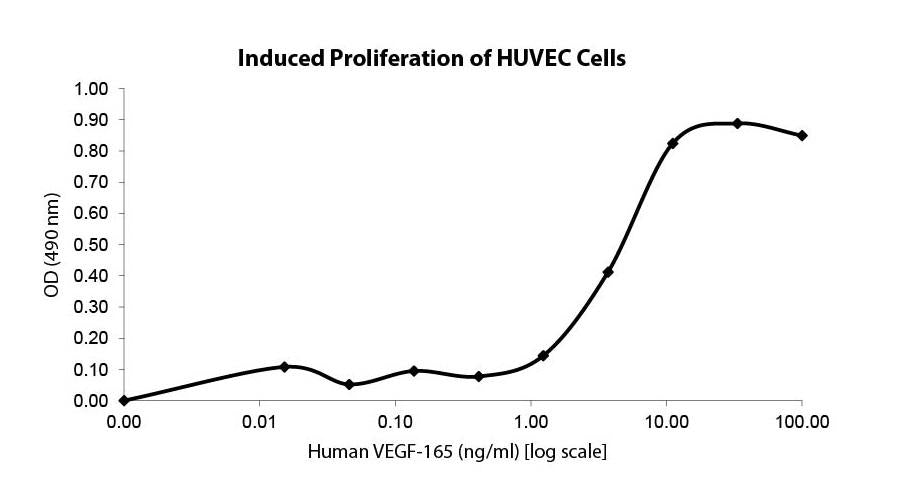 VEGF-165