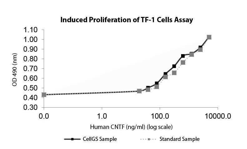 CNTF (AF)