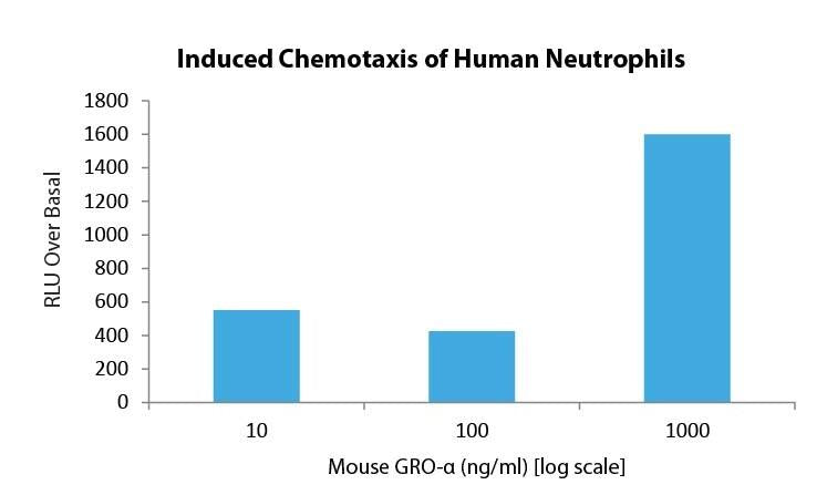 GRO-α
