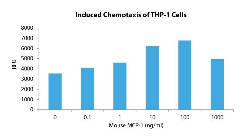 MCP-1