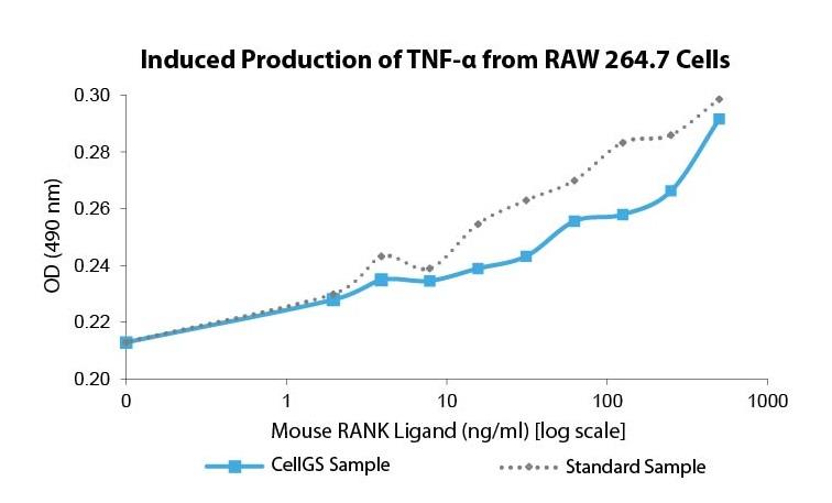 RANK Ligand