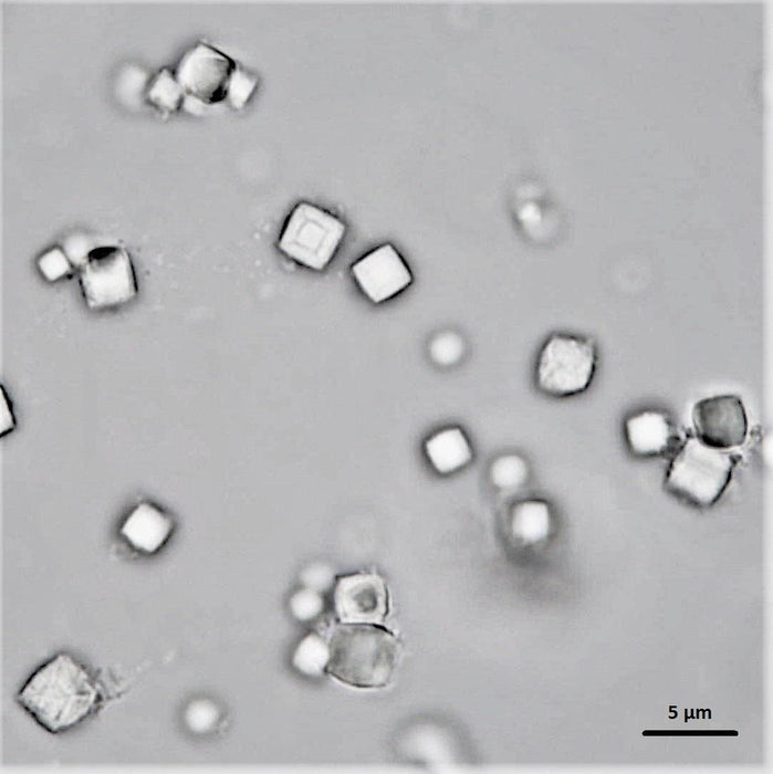 PODS Human IGF-1 L3R