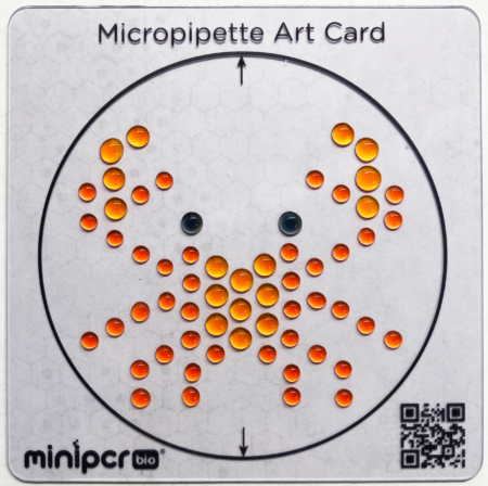 Micropipette Art Cards, Set of 8