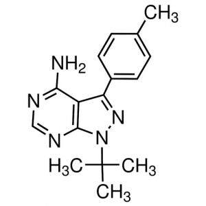 PP1