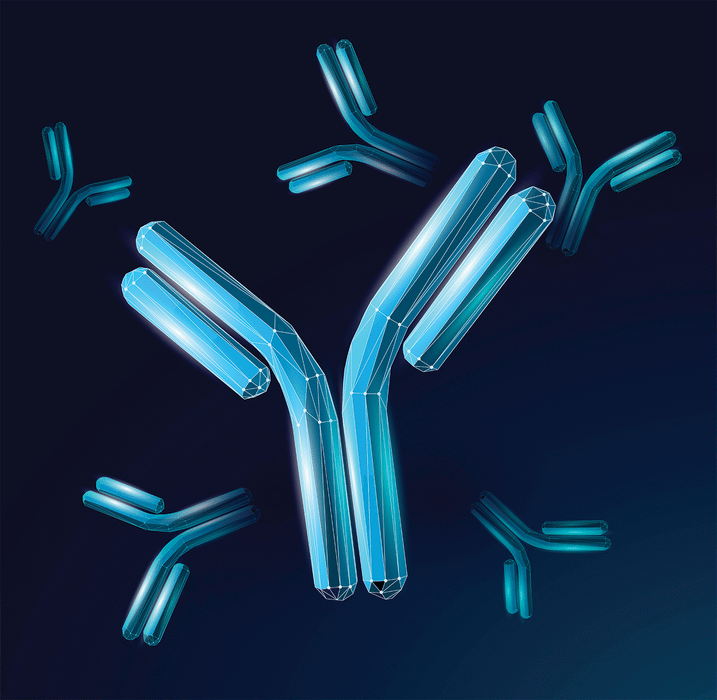 AR-?3 (L291) polyclonal antibody detects endogenous levels of AR-?3 protein.