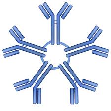 ACE2 mutant protein:Y41G,human,recombinant(hFc Tag)